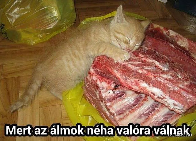 Álmok