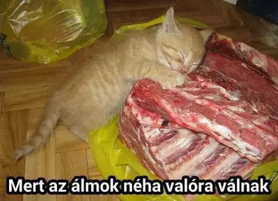 Álmok